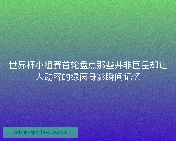 世界杯小组赛首轮盘点那些并非巨星却让人动容的绿茵身影瞬间记忆